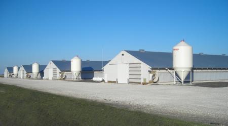 Radintz Turkey Farm