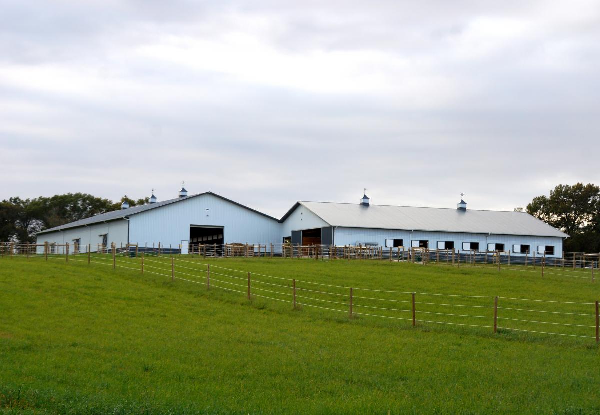 Exterior_1997