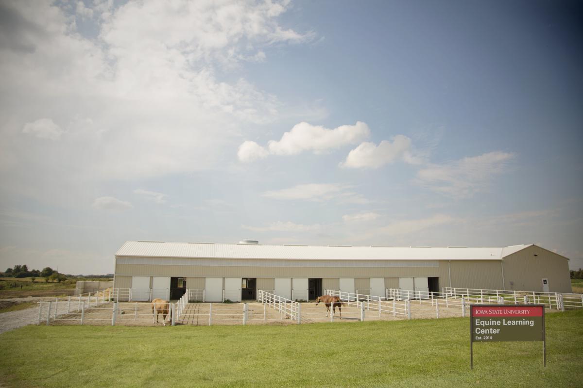Equine Learning Center